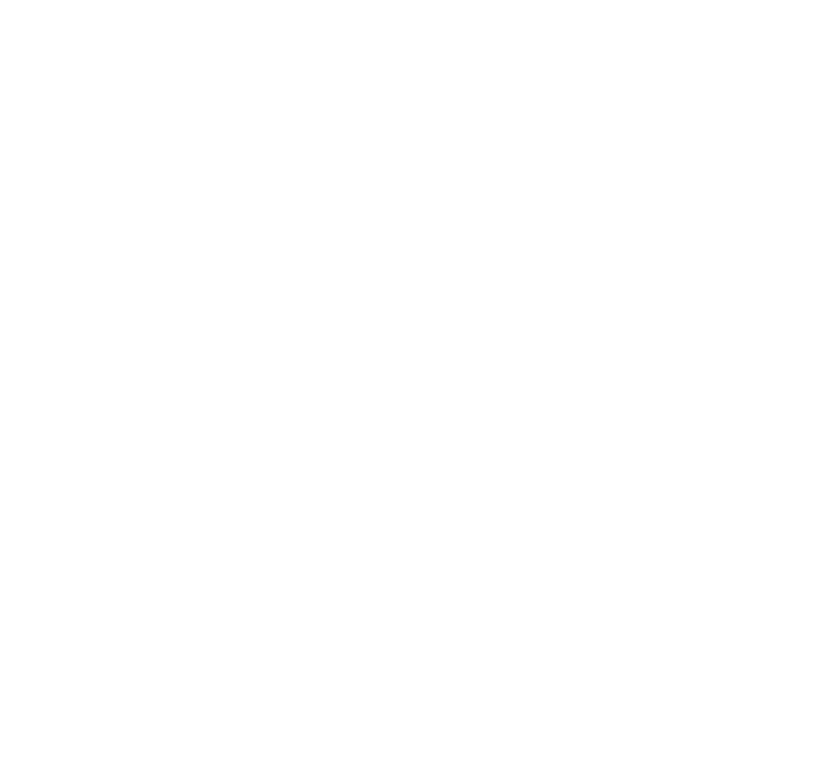 Giraudi Group